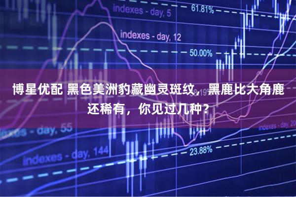博星优配 黑色美洲豹藏幽灵斑纹，黑鹿比大角鹿还稀有，你见过几种？