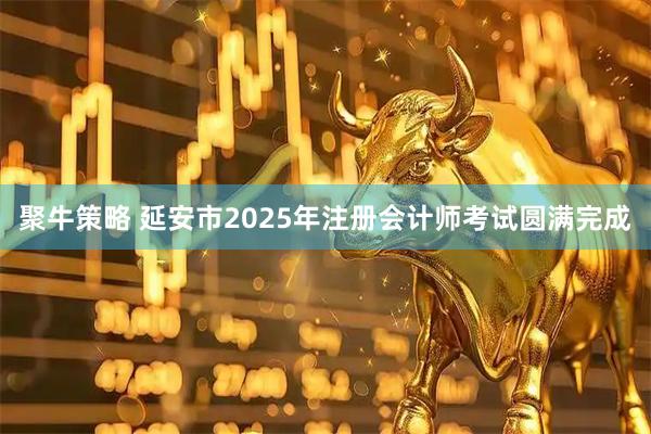聚牛策略 延安市2025年注册会计师考试圆满完成
