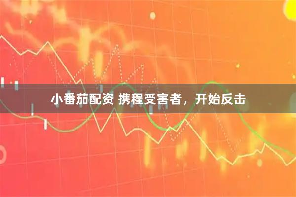 小番茄配资 携程受害者，开始反击